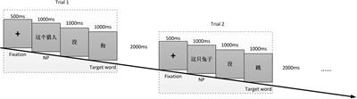 Significantly different noun-verb distinguishing mechanisms in written Chinese and Chinese sign language: An event-related potential study of bilingual native signers